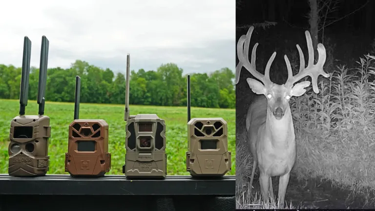 Best 5 Trail Cameras in 2024 New – Artikel Vergleichen